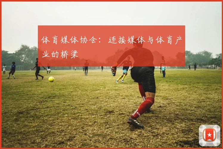 体育媒体协会：连接媒体与体育产业的桥梁